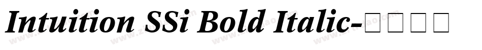 Intuition SSi Bold Italic字体转换